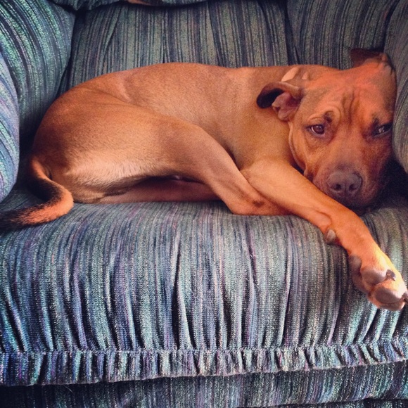 Meet your Posher, Meredith - Picture 5 of 6